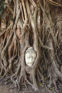 玛哈泰寺 Wat Mahathat,วัดมหาธาตุ