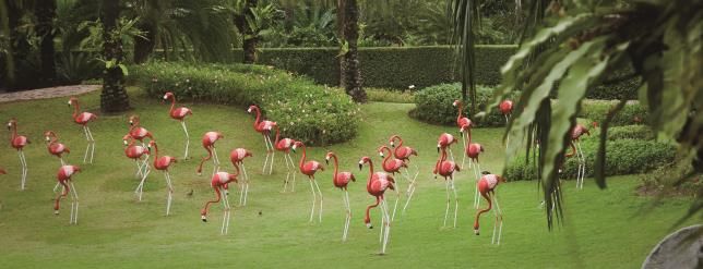 东芭乐园 Nong Nooch Village, หมู่บ้านนงนุช